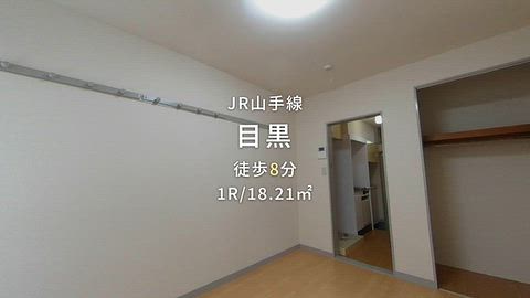 動画