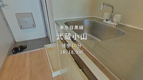 動画