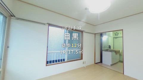 動画