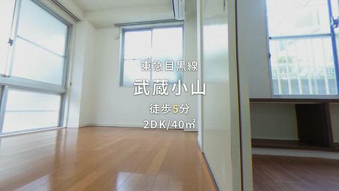 動画
