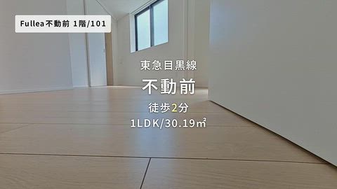 動画