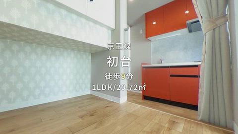 動画