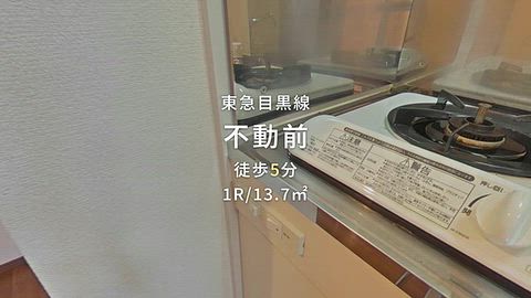 動画