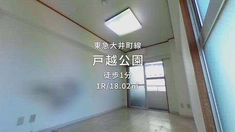 動画