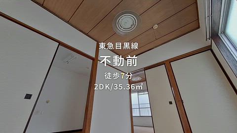 動画