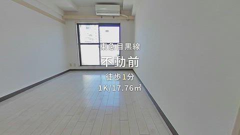 動画