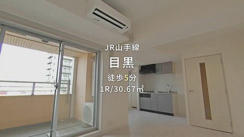 動画