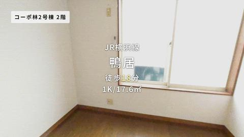 動画