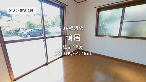 動画