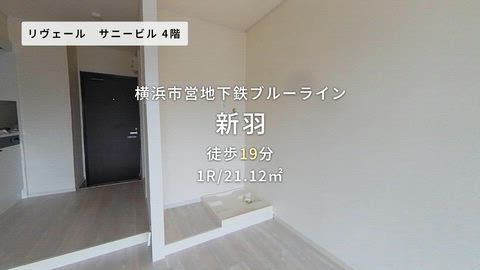 動画