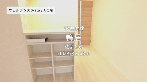 動画