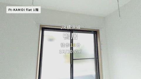 動画