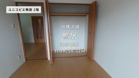 動画