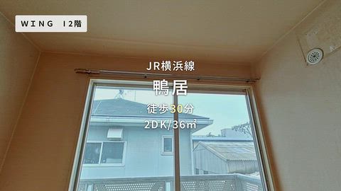 動画