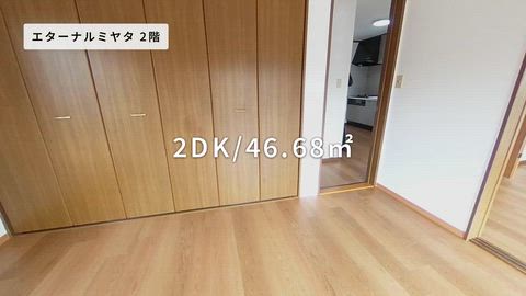 動画