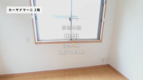 動画