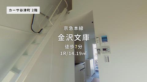 動画