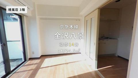 動画