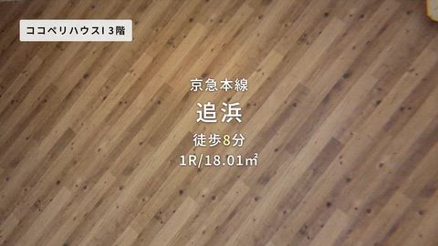 動画