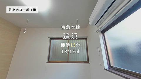 動画