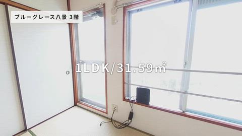 紹介ムービー