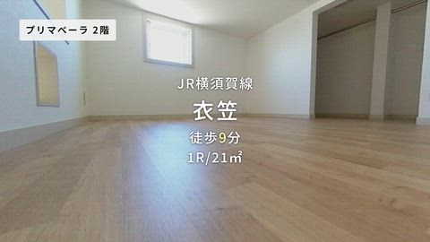 動画