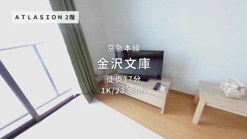 動画