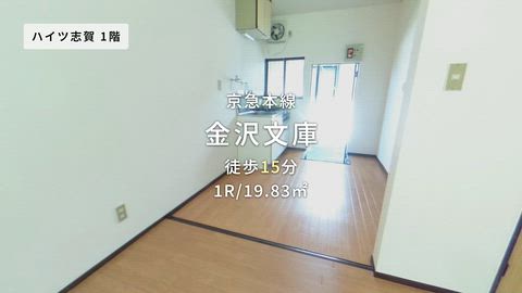 動画