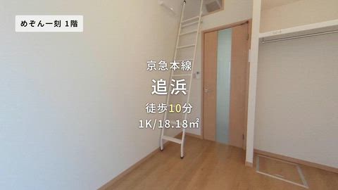 動画