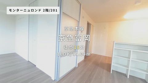 動画