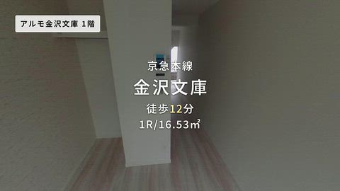 動画