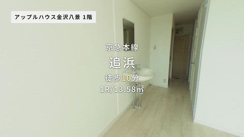動画