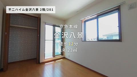 動画