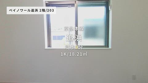 動画