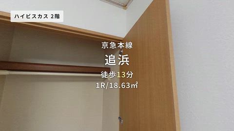 動画