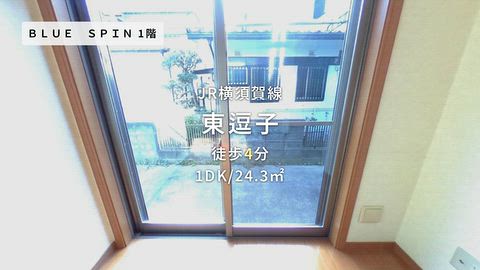 動画