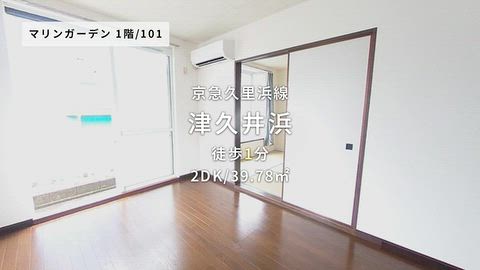 動画