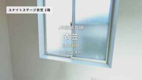 動画