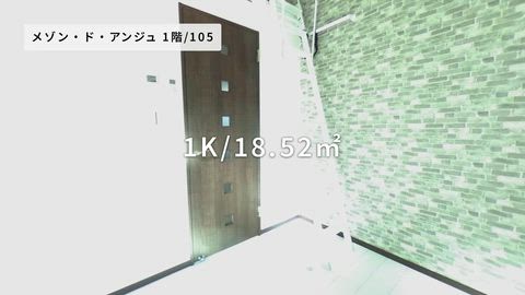 動画