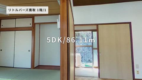 動画