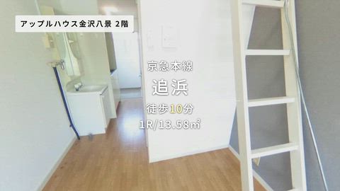動画