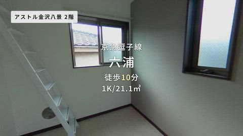 動画