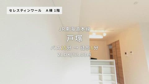 紹介ムービー