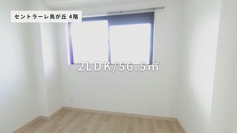 紹介ムービー