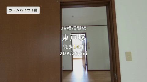 動画