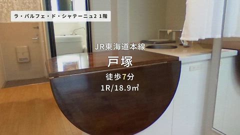 動画