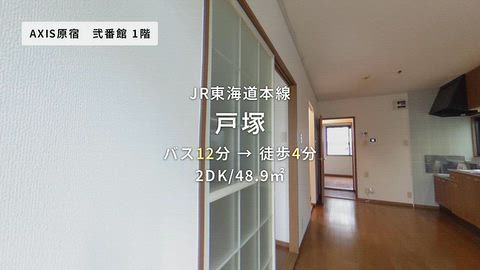 動画