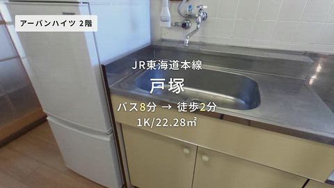 動画