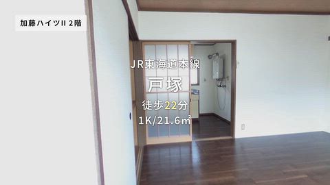 動画