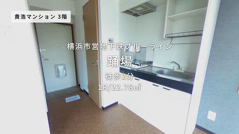 動画